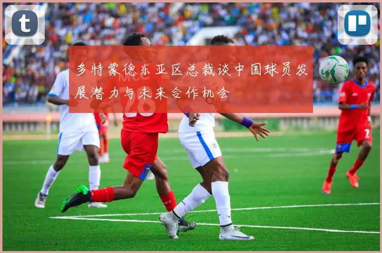 多特蒙德东亚区总裁谈中国球员发展潜力与未来合作机会