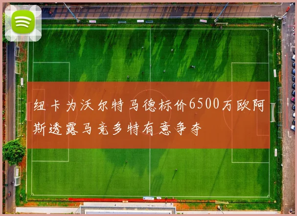 纽卡为沃尔特马德标价6500万欧阿斯透露马竞多特有意争夺